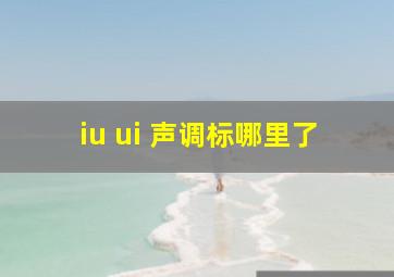 iu ui 声调标哪里了